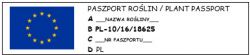 Wydajemy Paszporty Roślin